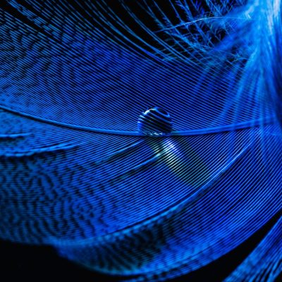 一位中年编辑坐在蓝色台灯下翻阅资料，桌面上摊着写满批注的星辰主题打印稿，神情专注的夜晚工作画面