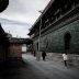 文化编辑沈雨桐头像，专注中国古代天文与星辰诗词研究